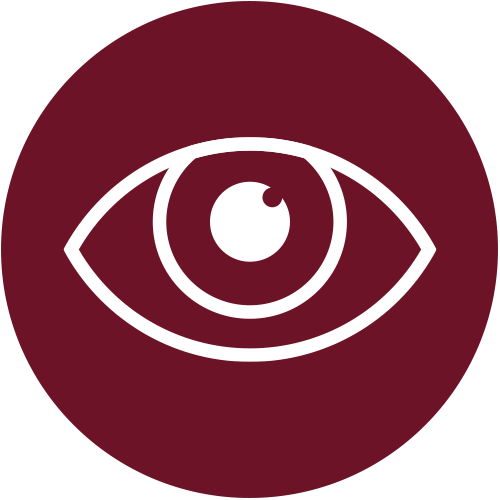 Page views per session icon